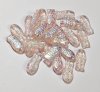 25 15mm Transparent Light Rosaline AB Fish Beads