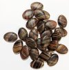 25 16x11mm Flat Oval Marble Matte Dark Brown with Red and Yellow Stripes