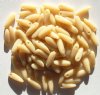 100 3x11mm Opaque Ivory Glass Dagger Beads