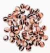 50 8mm Striped Brown White Pink and Orange Beads