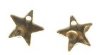 GF1902 1, 10mm Gold Filled Hammered Star Pendant