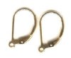GF2510 1 Pair Gold Filled Leverback Ear Wires