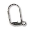 12 Pairs of 17mm Stainless Steel Lever Back Earrings