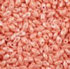LM0429 - 10 Grams Opaque Salmon Lustre 4x7mm Long Miyuki Magatama Drop Beads