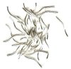 36 20x1.5mm Silver Twisted Tube Beads