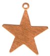 1 25mm Bright Copper Star Stamping Blank Pendant 