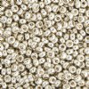 SB-1051 22g of Galvanized Silver 6/0 Miyuki Seed Beads