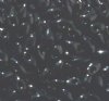 LM0401 - 10 Grams Opaque Black 4x7mm Long Miyuki Magatama Drop Beads