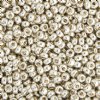 SB8-1051 22g of Galvanized Silver 8/0 Miyuki Seed Beads