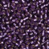 SB11-0024 22g of Silver Lined Amethyst 11/0 Miyuki Seed Beads