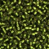 SB11-0026 22g of Silver Lined Olive 11/0 Miyuki Seed Beads