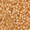 SB11-0552 22g of Silver Lined Dyed Light Apricot 11/0 Miyuki Seed Beads