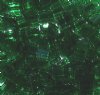 TL0146 5.2 Grams Transparent Light Emerald Two Hole Miyuki Tila Beads