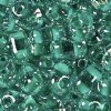 TB-38658 - 10 Grams Green Lined Crystal 2.5x5mm Preciosa Twin Beads