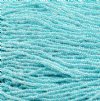 1 Hank of 10/0 Turquoise Color Lined Crystal Seed Beads