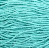 50g of 10/0 Opaque Matte Turquoise Seed Beads