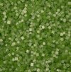 25 Grams of 10/0 Two-Cut Satin Solgel Green Seed Beads