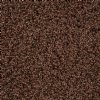 22 Gram Vial of 10/0 Crystal Colorlined Terra Intensive Dark Brown Seed Beads