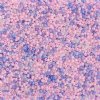 22 Gram Vial of 10/0 Czech Glass Seed Bead Mix - Cotton Candy