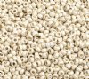 50 Grams of 10/0 Matte Metallic Terra Silver Seed Beads