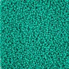 22 Grams of 10/0 Matte Opaque Dark Green Terra Intensive Seed Beads