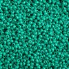 50g 10/0 Opaque Dark Green Terra Intensive Seed Beads