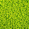50g 10/0 Opaque Light Green Terra Intensive Seed Beads
