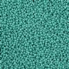 10 Grams 11/0 Charlotte Seed Beads - Opaque Turquoise