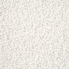 10 Grams 11/0 Charlotte Seed Beads - Opaque Chalk White
