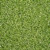 50 Grams of 11/0 Silverlined Solgel Green Seed Beads