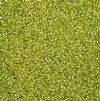 50 Grams of 11/0 Silverlined Solgel Light Green Seed Beads