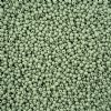 1 Hank of 11/0 Solgel Opaque Dyed Chalk Eucalyptus Seed Beads