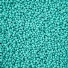 1 Hank of 11/0 Solgel Opaque Dyed Chalk Turquoise Seed Beads