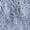 10 Grams 13/0 Charlotte Seed Beads - Silver Lined Crystal 
