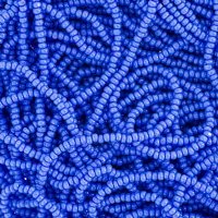 10 Grams 13/0 Charlotte Seed Beads - Opaque Light Royal Blue