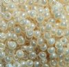 20 Gram Vial of 2/0 Ivory Pearl Seed Beads