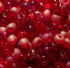 50g 2/0 Red Multi Mix Seed Beads