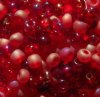 20 Gram Vial of 2/0 Red Multi Mix Seed Beads