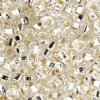 20 Gram Vial of 2/0 Silver Lined Crystal Seed Beads