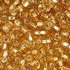 20 Gram Vial of 2/0 Silver Lined Gold Seed Beads