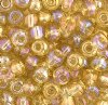 20 Gram Vial of 2/0 Transparent Light Topaz AB Seed Beads