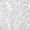 25g of 32/0 Opaque White Seed Beads