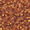 50g 6/0 Silver Lined Matte Dark Topaz Seed Beads