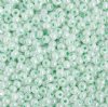50g 6/0 Pearl Light Green Seed Beads