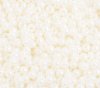 50g of 6/0 Ivory Pearl Seed Beads