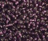 50g 6/0 Amethyst Silver Lined