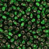 50g 6/0 Kelly Green Silver Lined Seed Beads