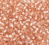 50g 6/0 Rosaline Silver Lined