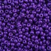 50g 6/0 Opaque Terra Dyed Purple Intensive Seed Beads