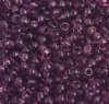 50g 6/0 Transparent Amethyst